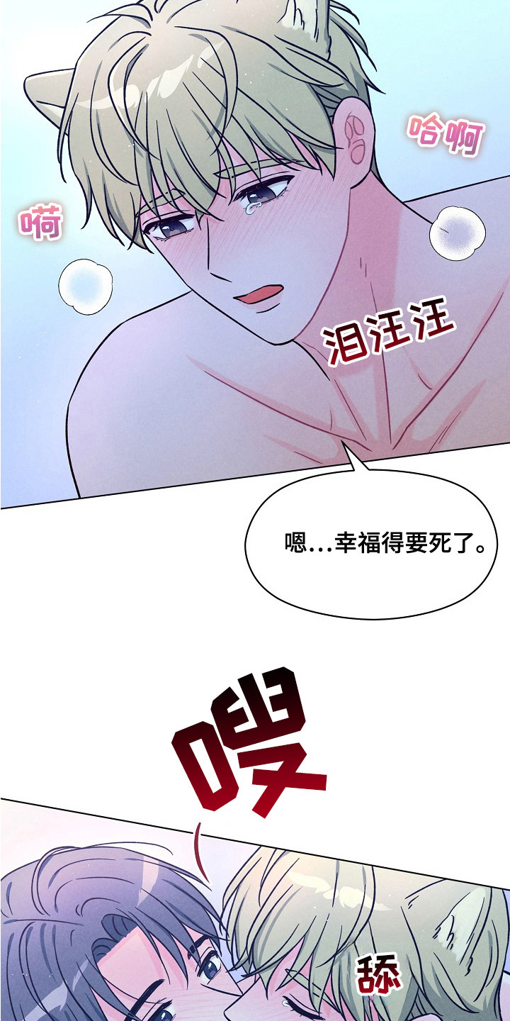 第16话：第16章：可爱的你（完结）预览分镜