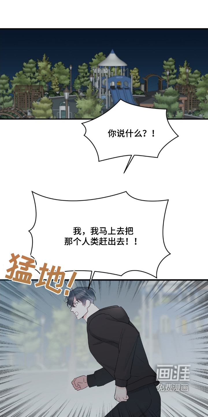 第28章:我们回家
