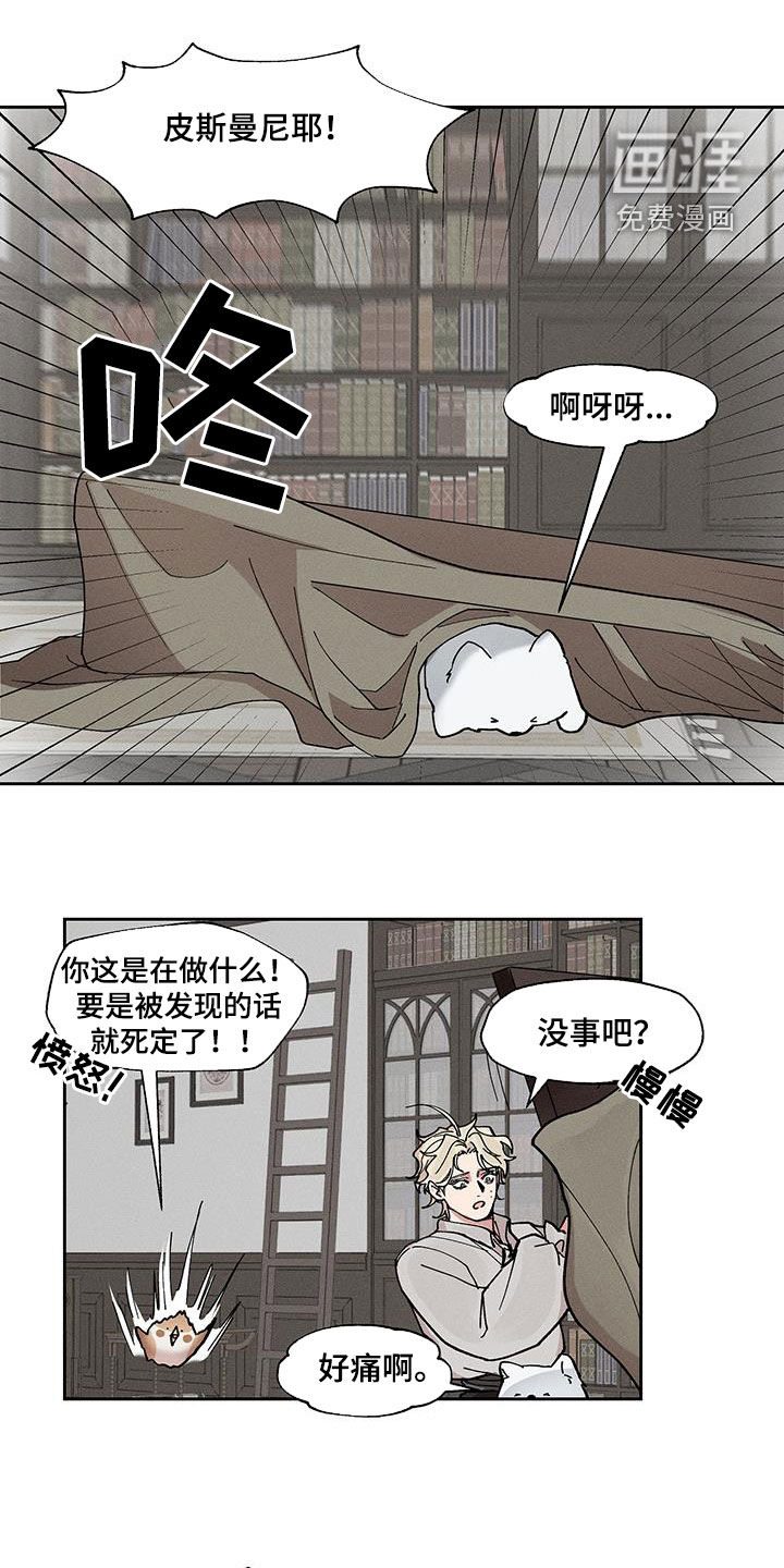 第27章：这是悲剧