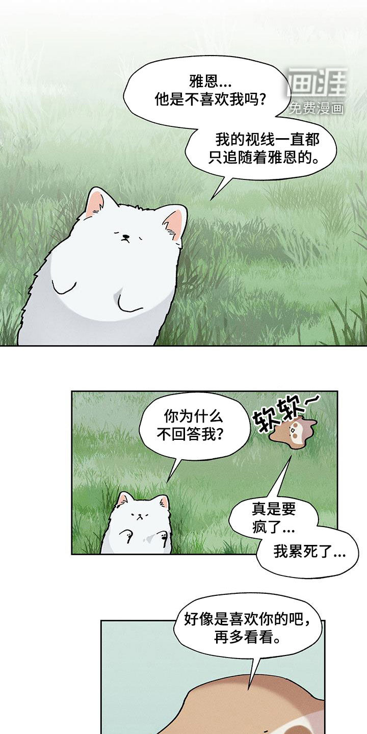 第37章:真的很神奇