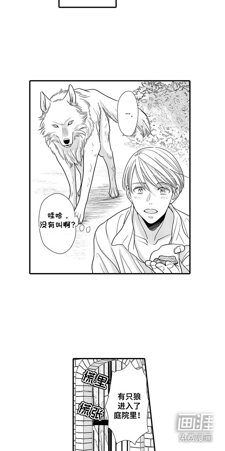 第5话：第5章：名字预览分镜