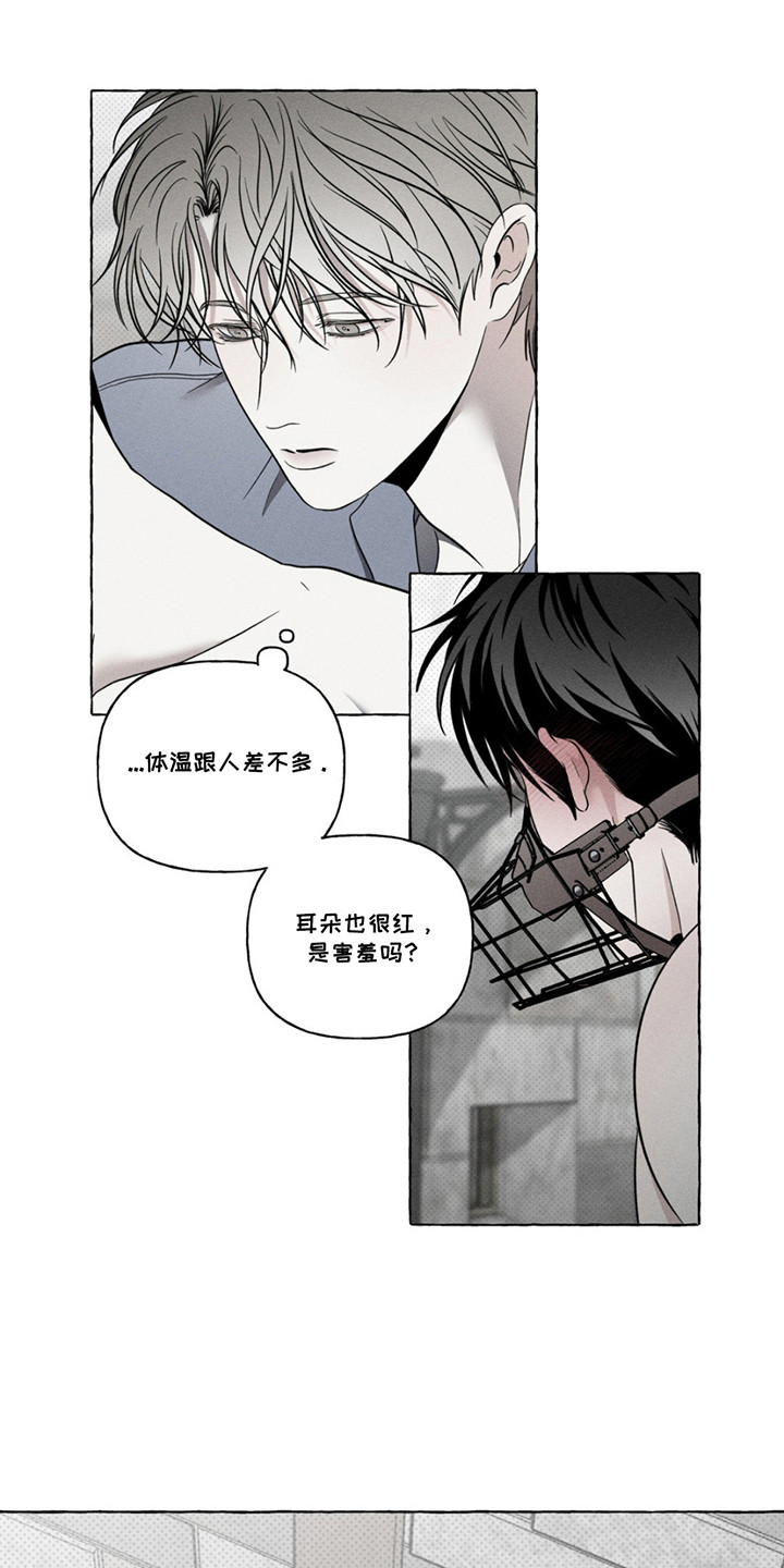 第8话：第8章：照顾预览分镜