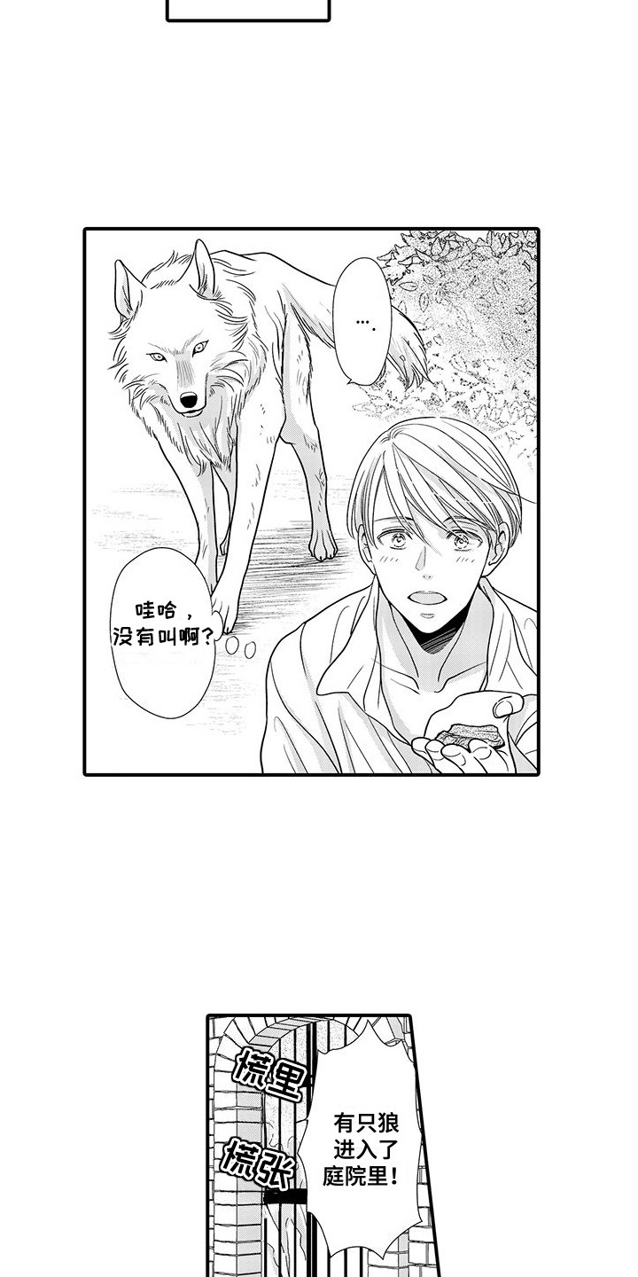 第5话：第5章：名字预览分镜