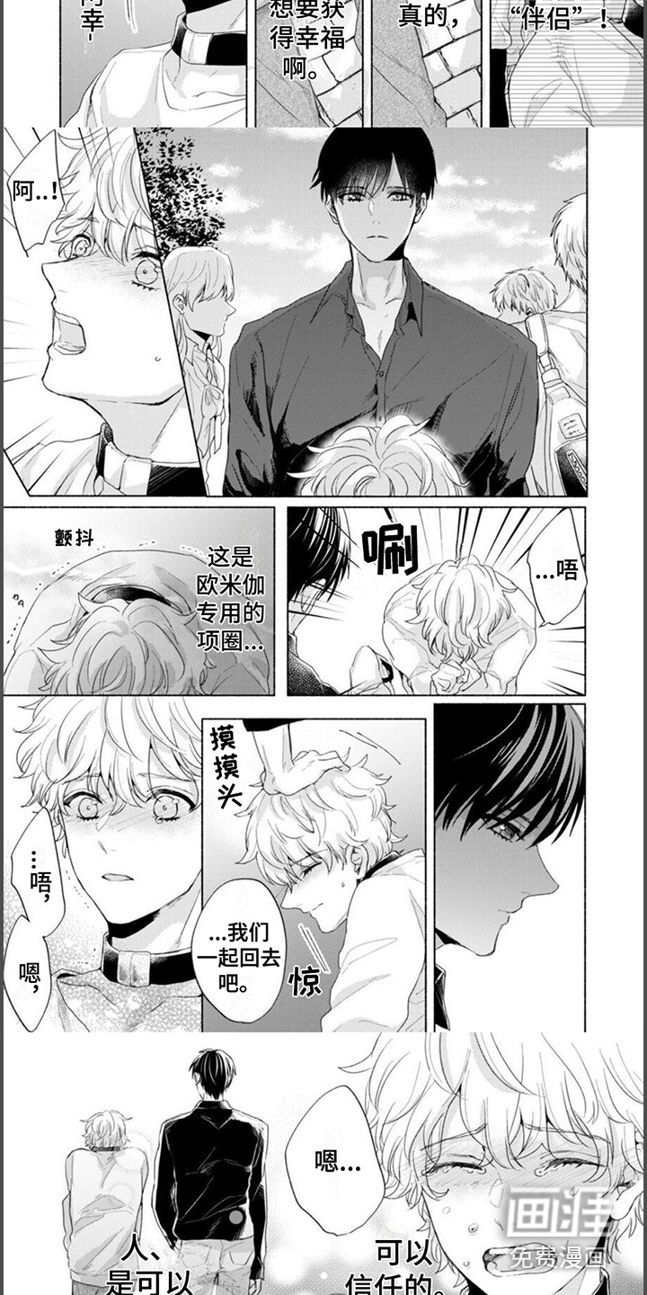 第16话：第16章：幸福结局（完结）预览分镜