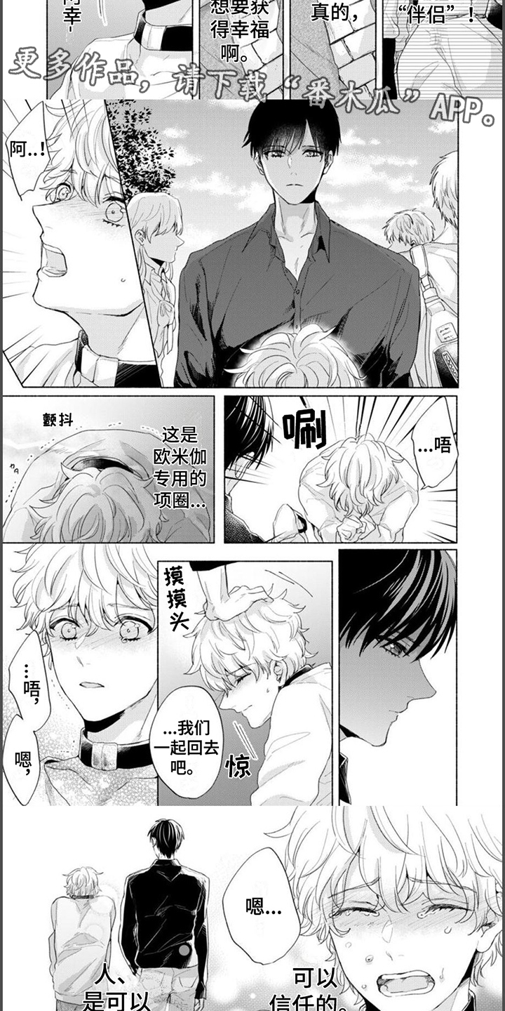 第17话：第17章：幸福结局（完结）预览分镜