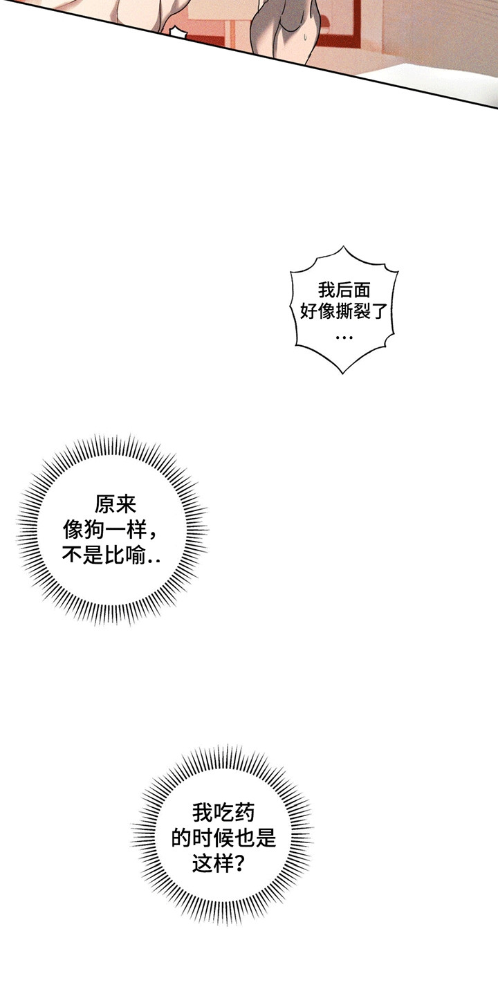 第14话：第14章：抓包预览分镜