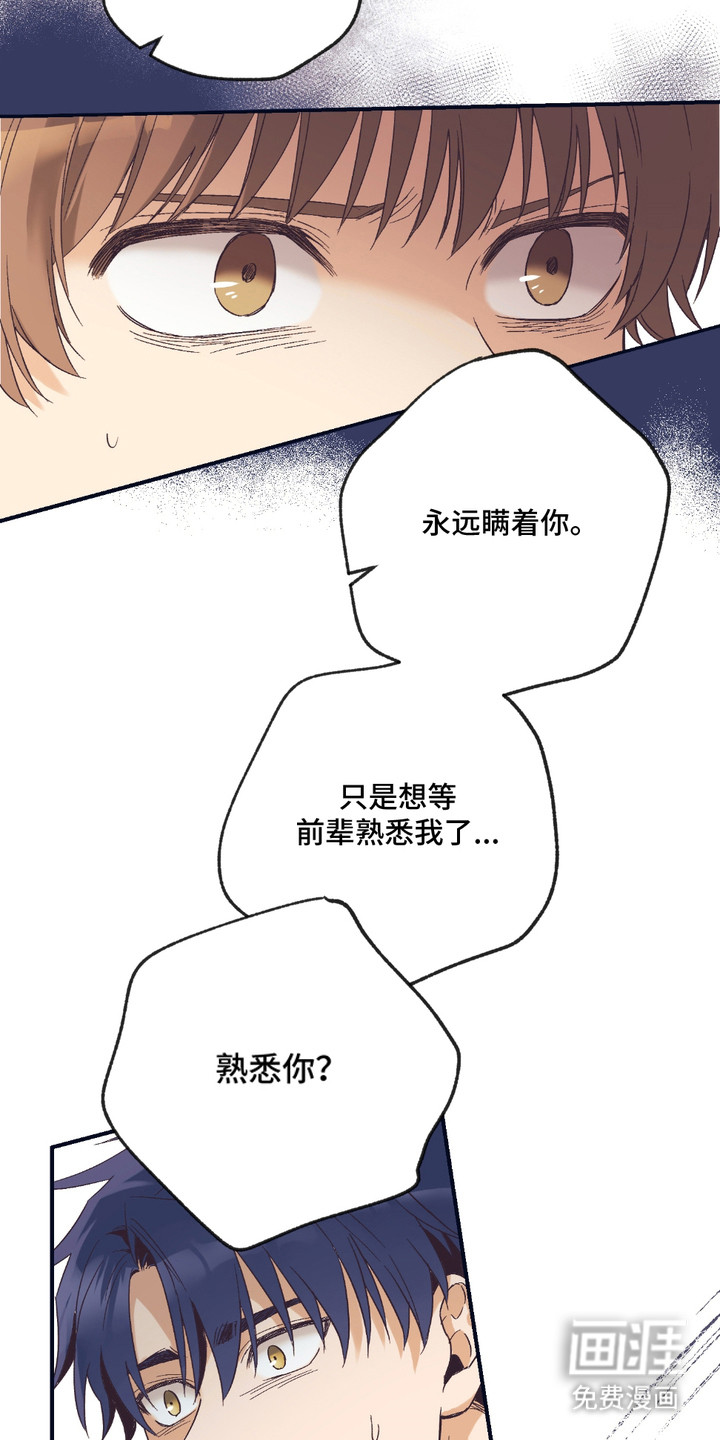 第10话：第10章：坦白预览分镜