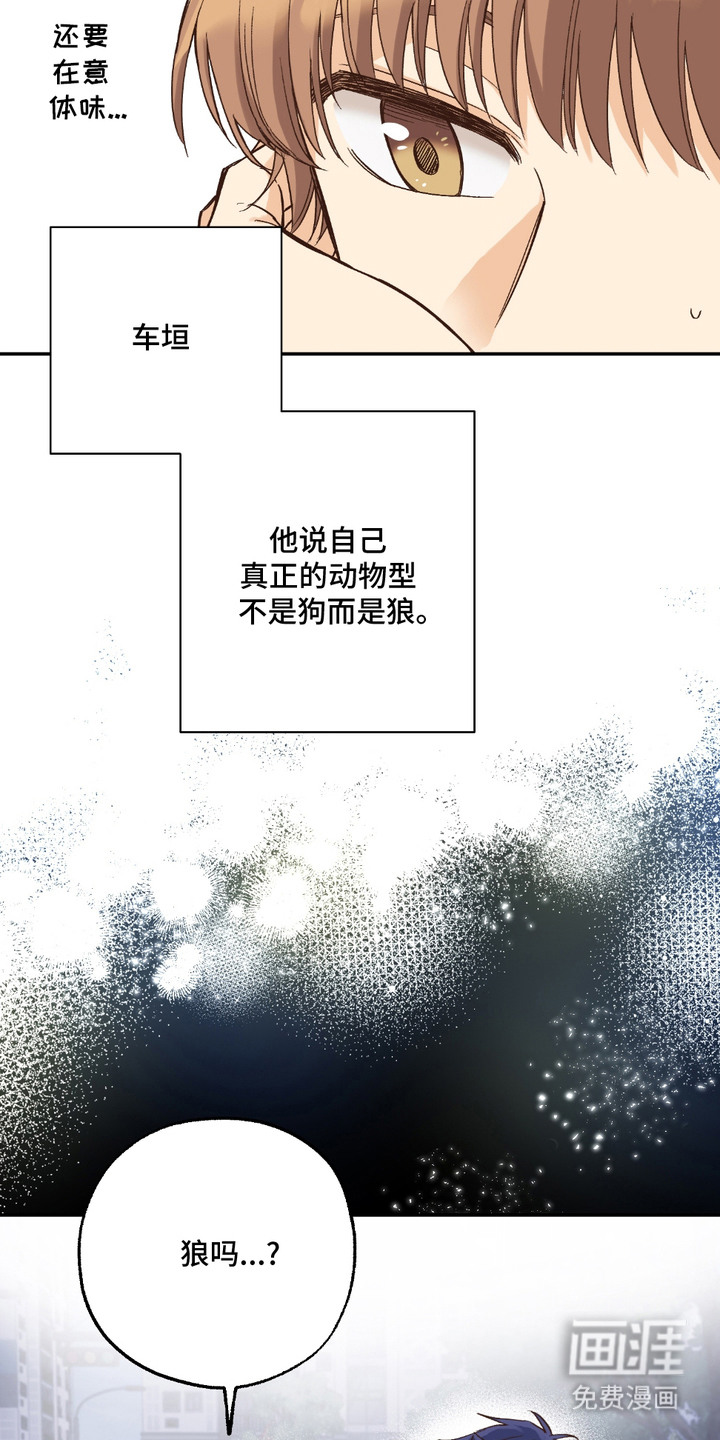 第17话：第17章：没有经验预览分镜