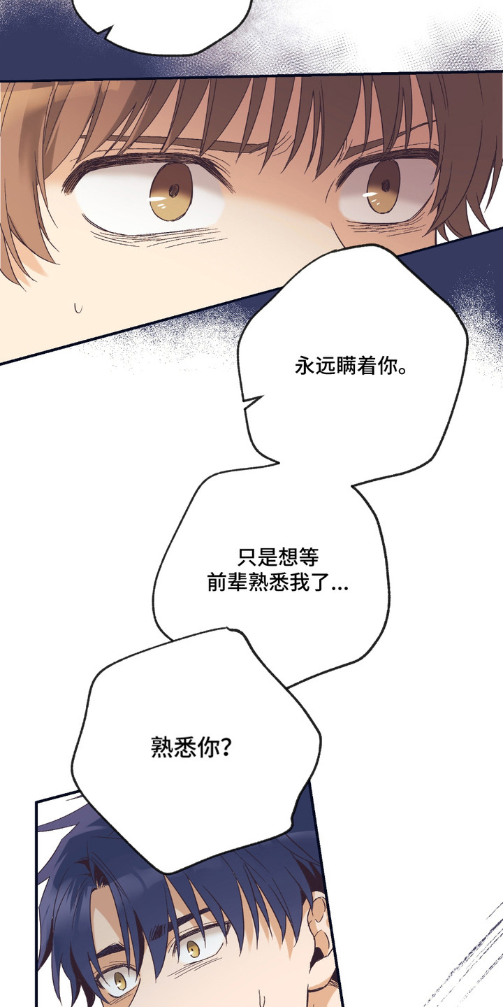 第10话：第10章：坦白预览分镜