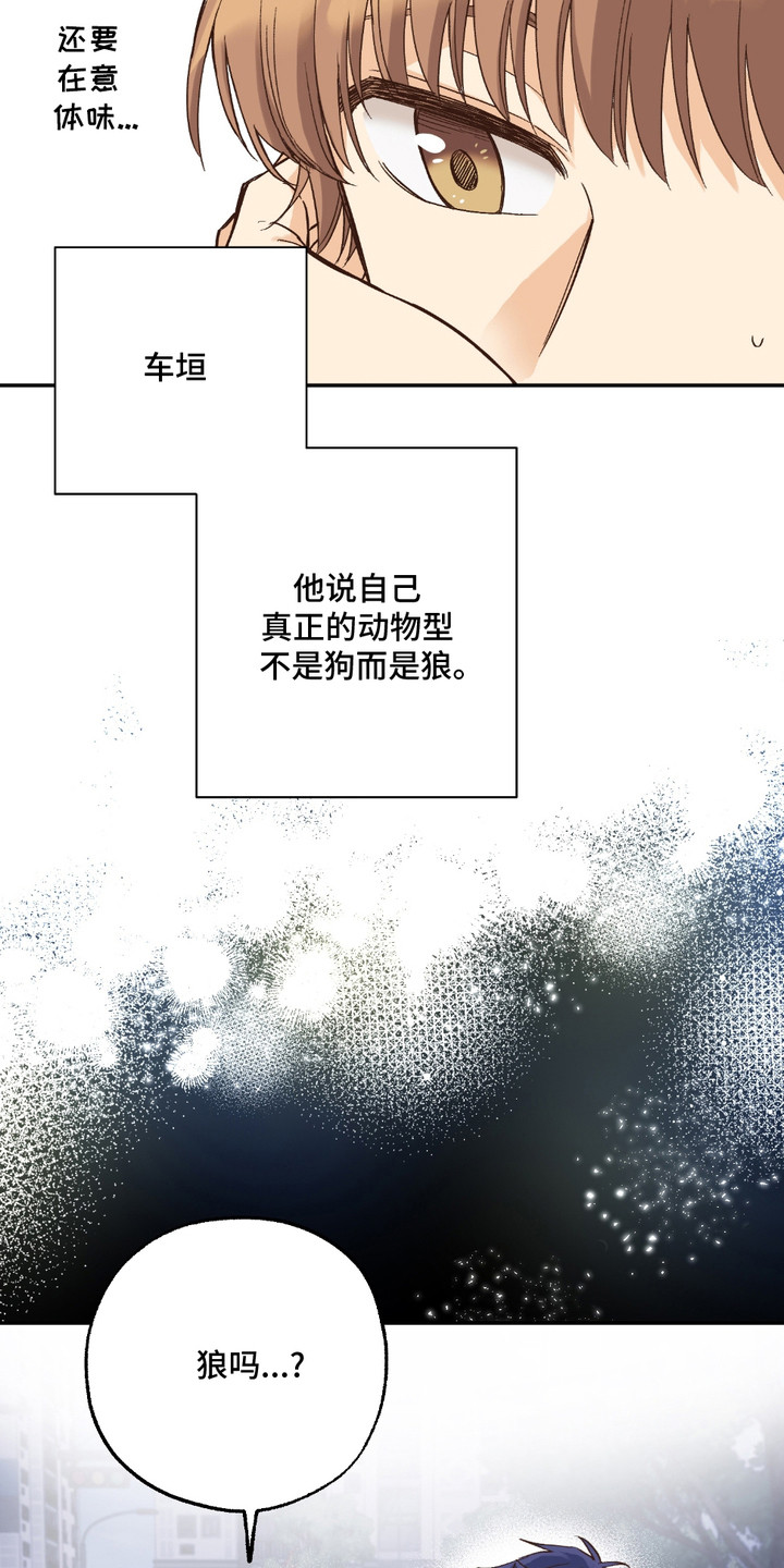 第17话：第17章：没有经验预览分镜