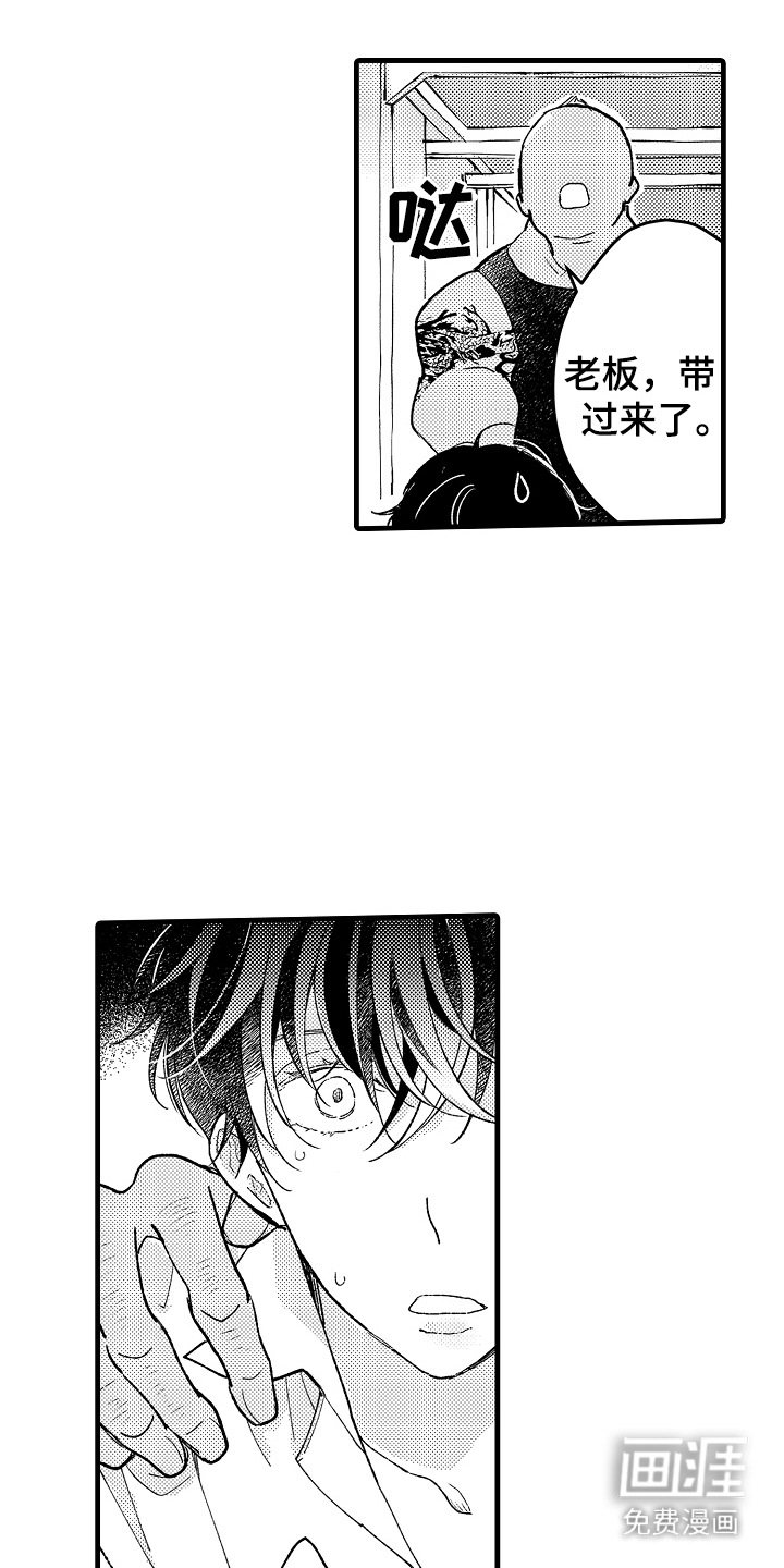 第6话：第6章：别无选择预览分镜