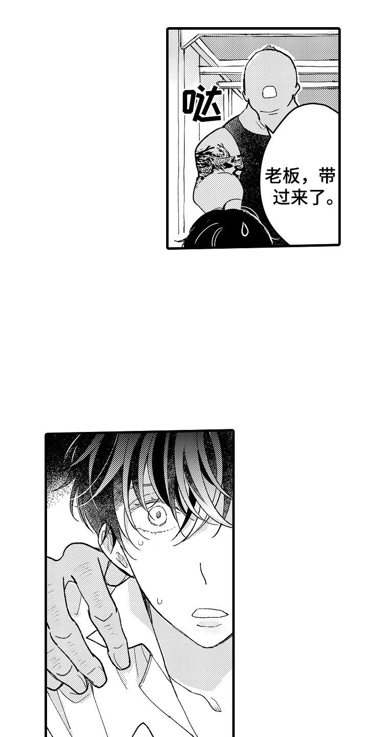 第6话：第6章：别无选择预览分镜