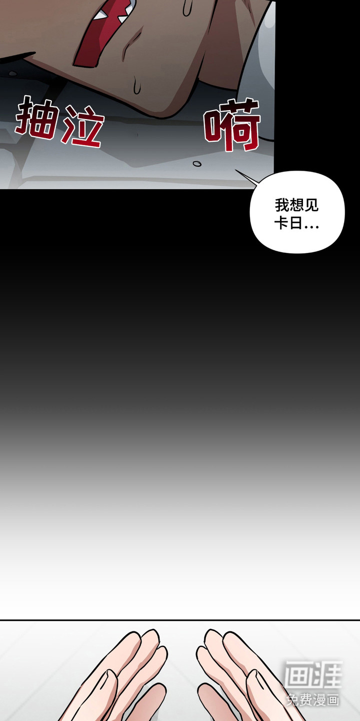第18话：第18章：买菜预览分镜