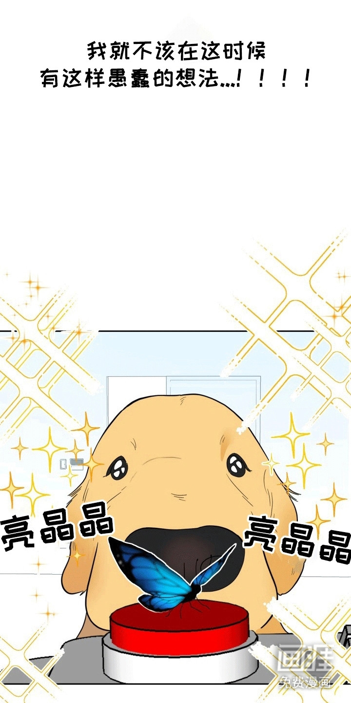 第4话：第4章：第二个我预览分镜