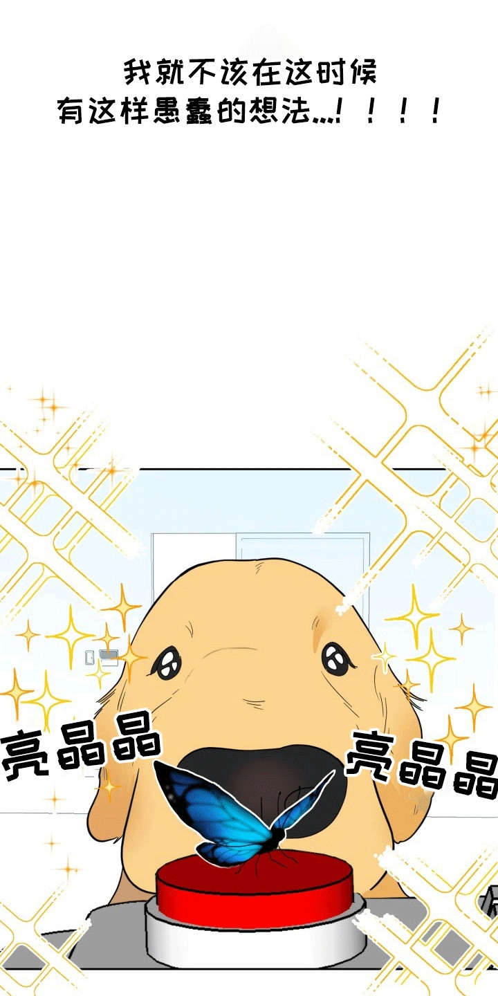 第4话：第4章：第二个我预览分镜