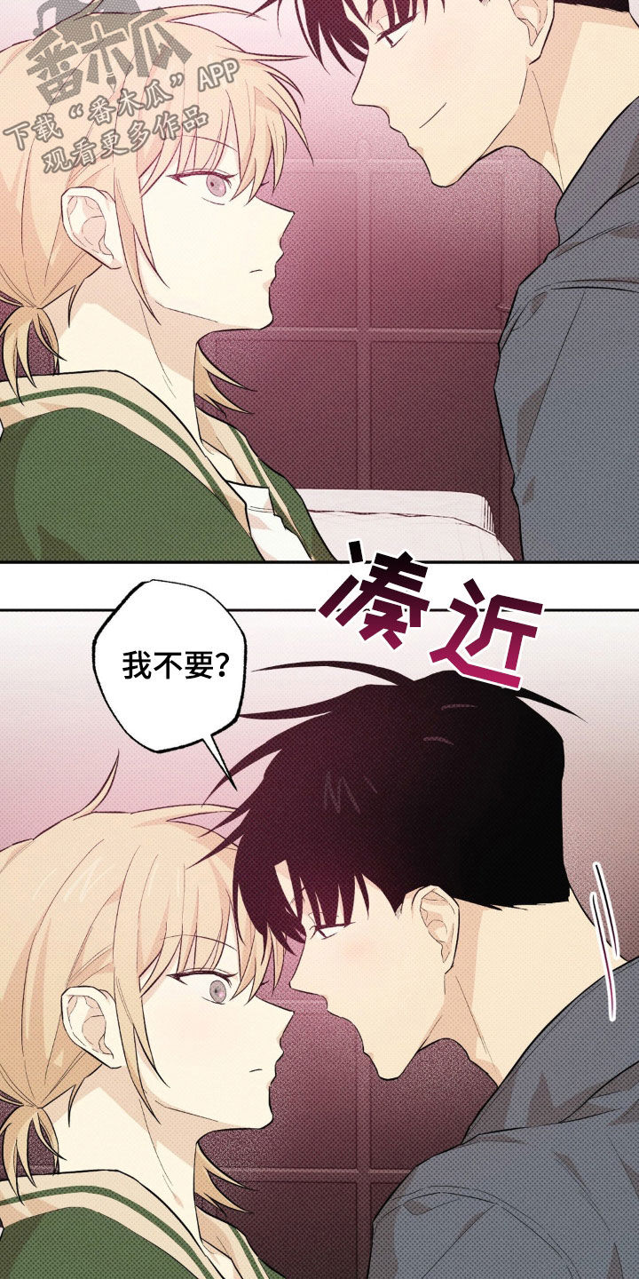 第14话：第14章：渐渐喜欢预览分镜