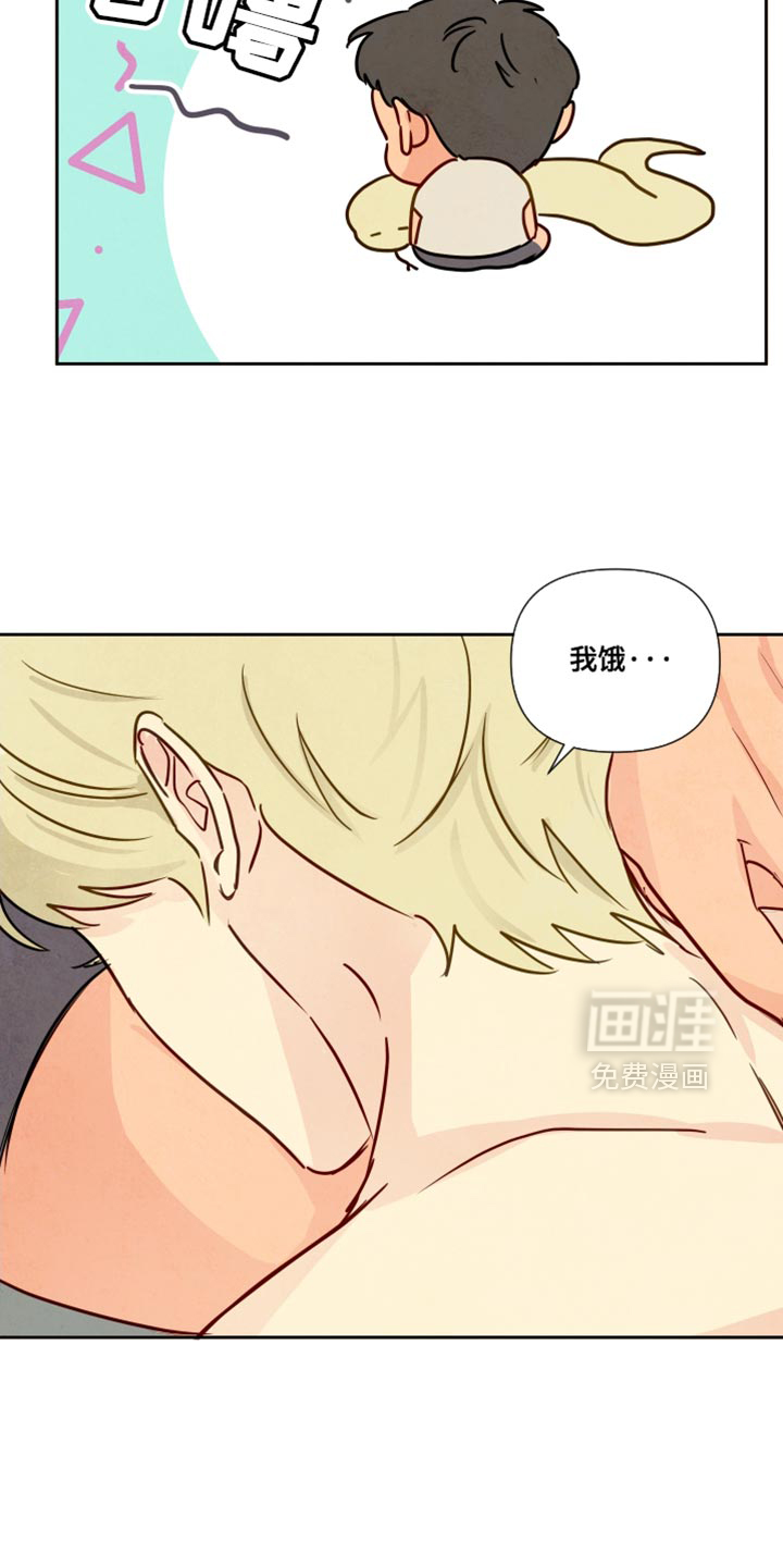 第12话：第12章：饺子预览分镜