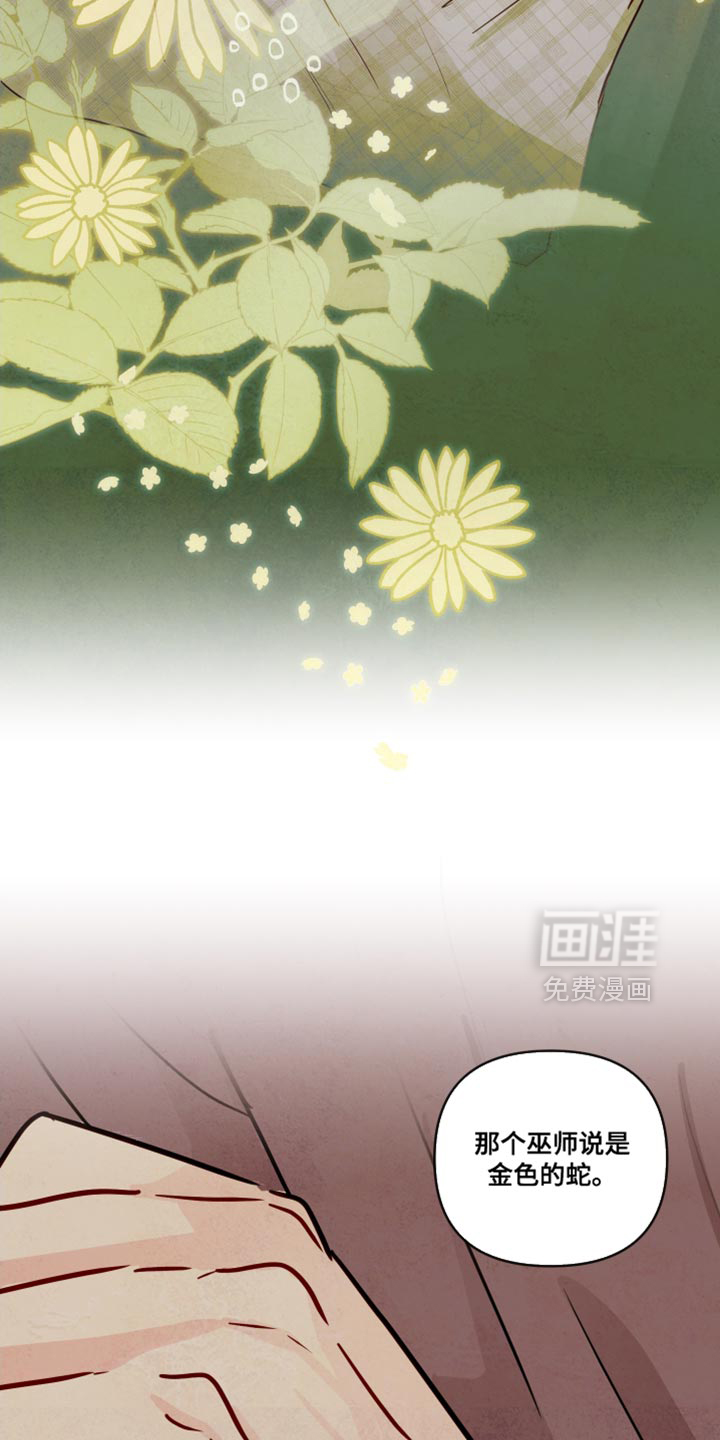 第13话：第13章：好久不见预览分镜
