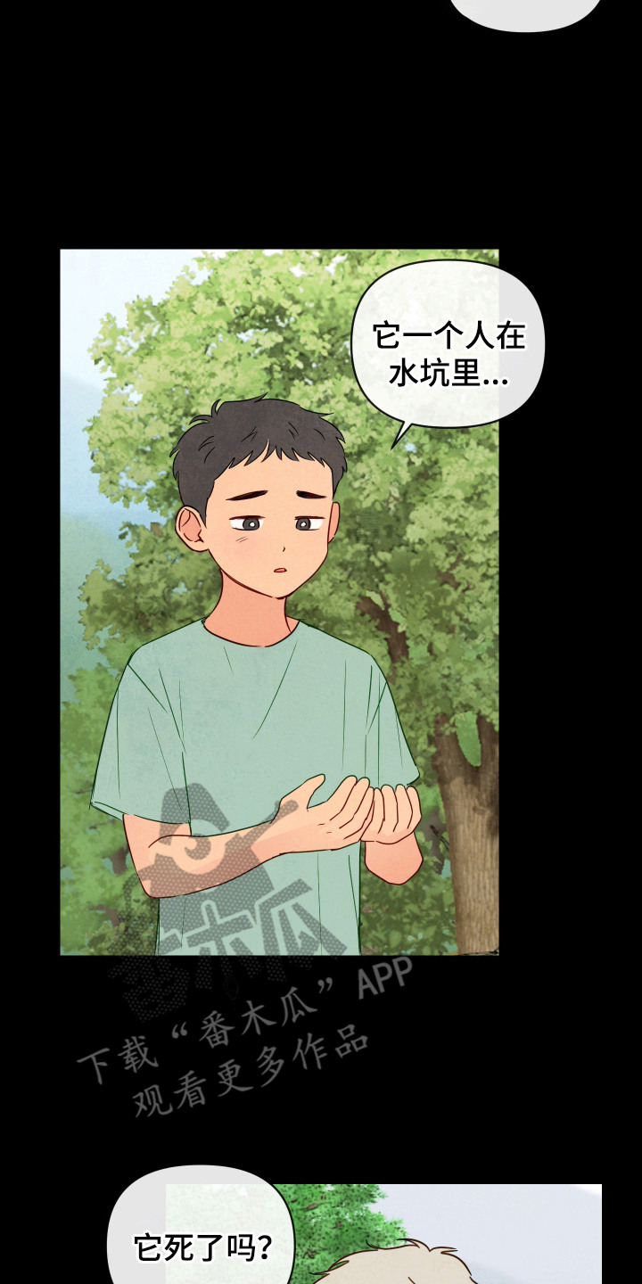 第1话：第1章：病重预览分镜