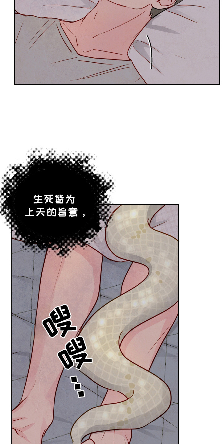 第3话：第3章：天意预览分镜
