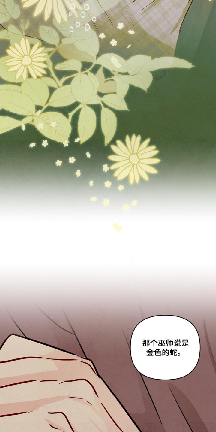 第15话：第15章：好久不见预览分镜