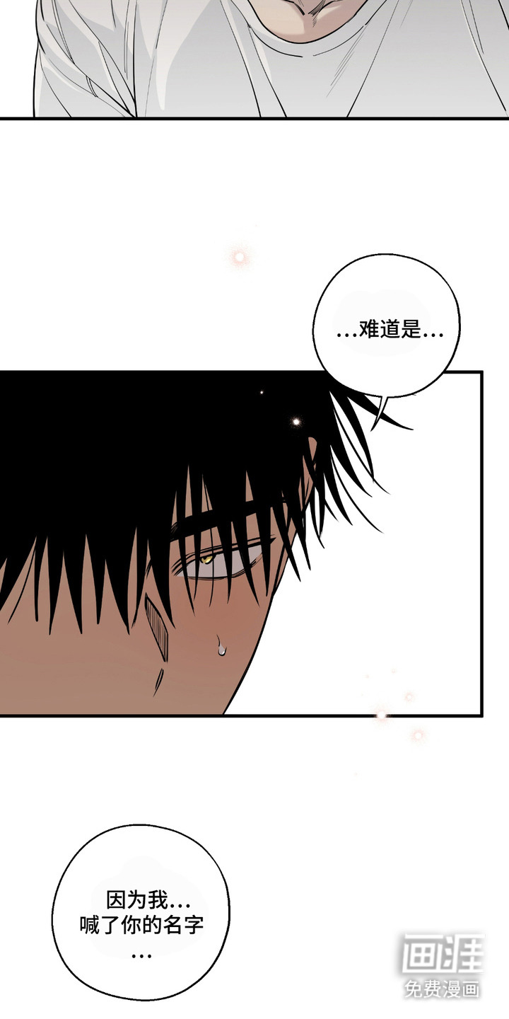 第12话：第12章：很混乱预览分镜