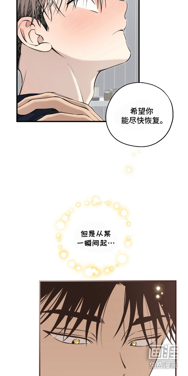 第15话：第15章：心意一样（完结）预览分镜