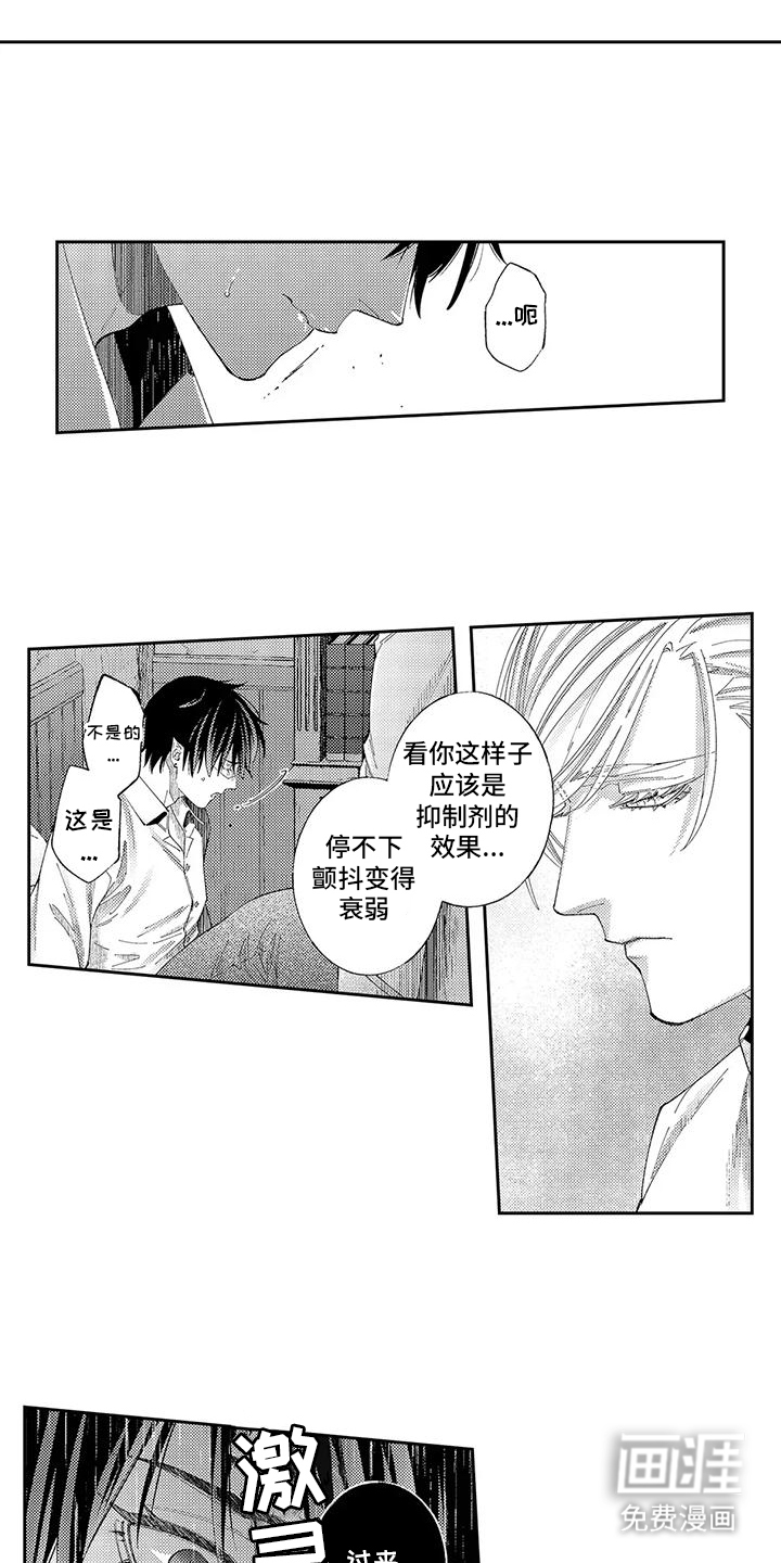 第3话：第3章：命令预览分镜