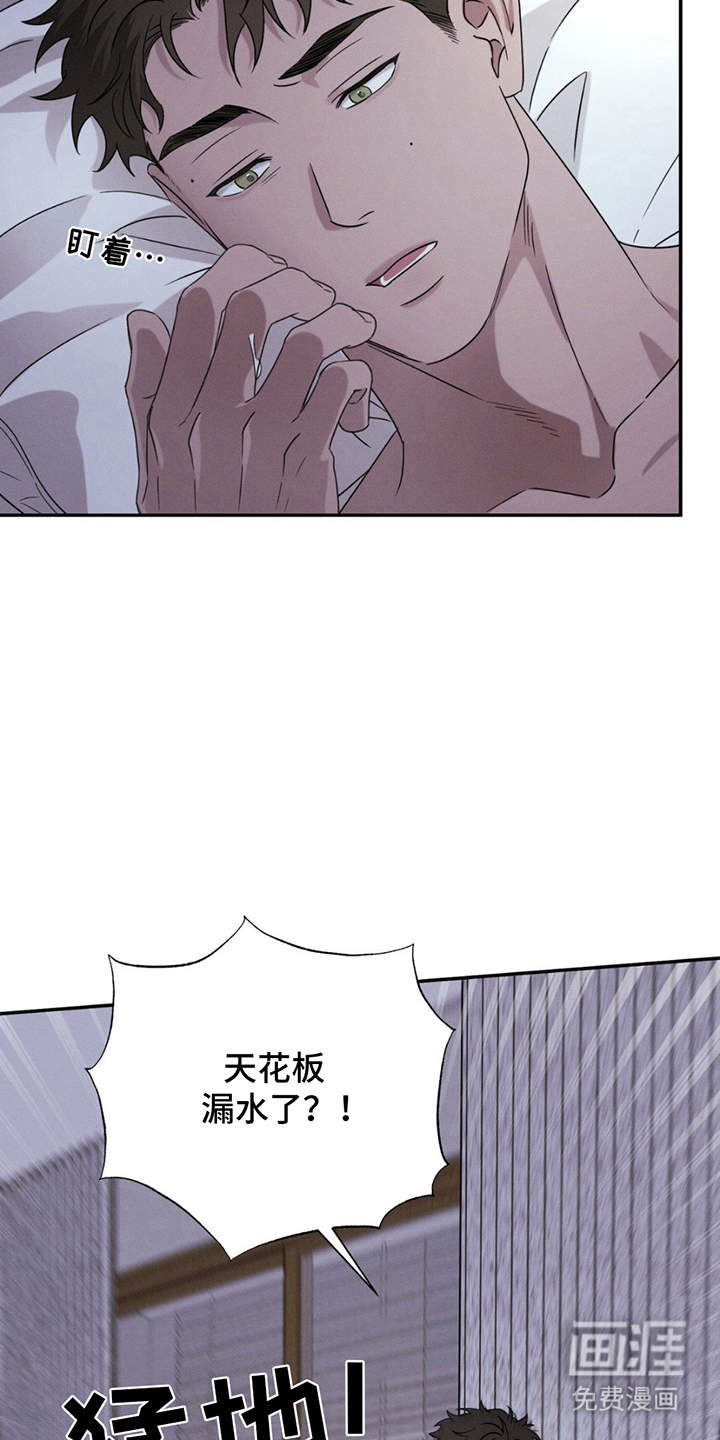 第12话：第12章：陷入预览分镜