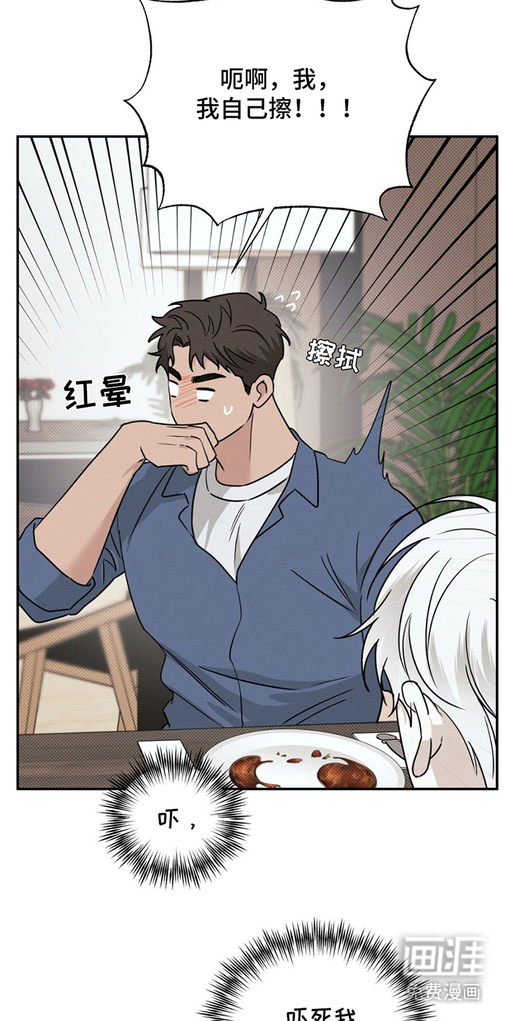 第15话：第15章：贵三倍的摄像机预览分镜