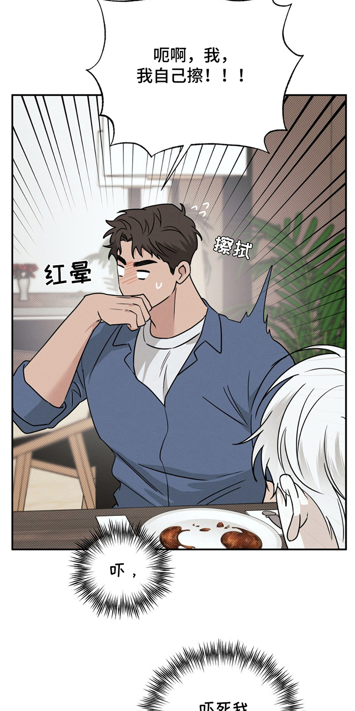 第15话：第15章：贵三倍的摄像机预览分镜