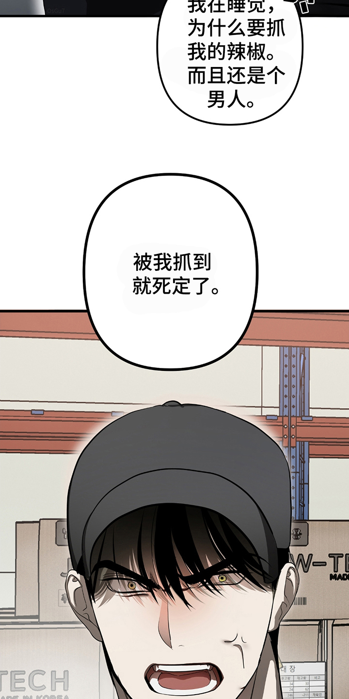 第2话：第2章：抓到你了预览分镜