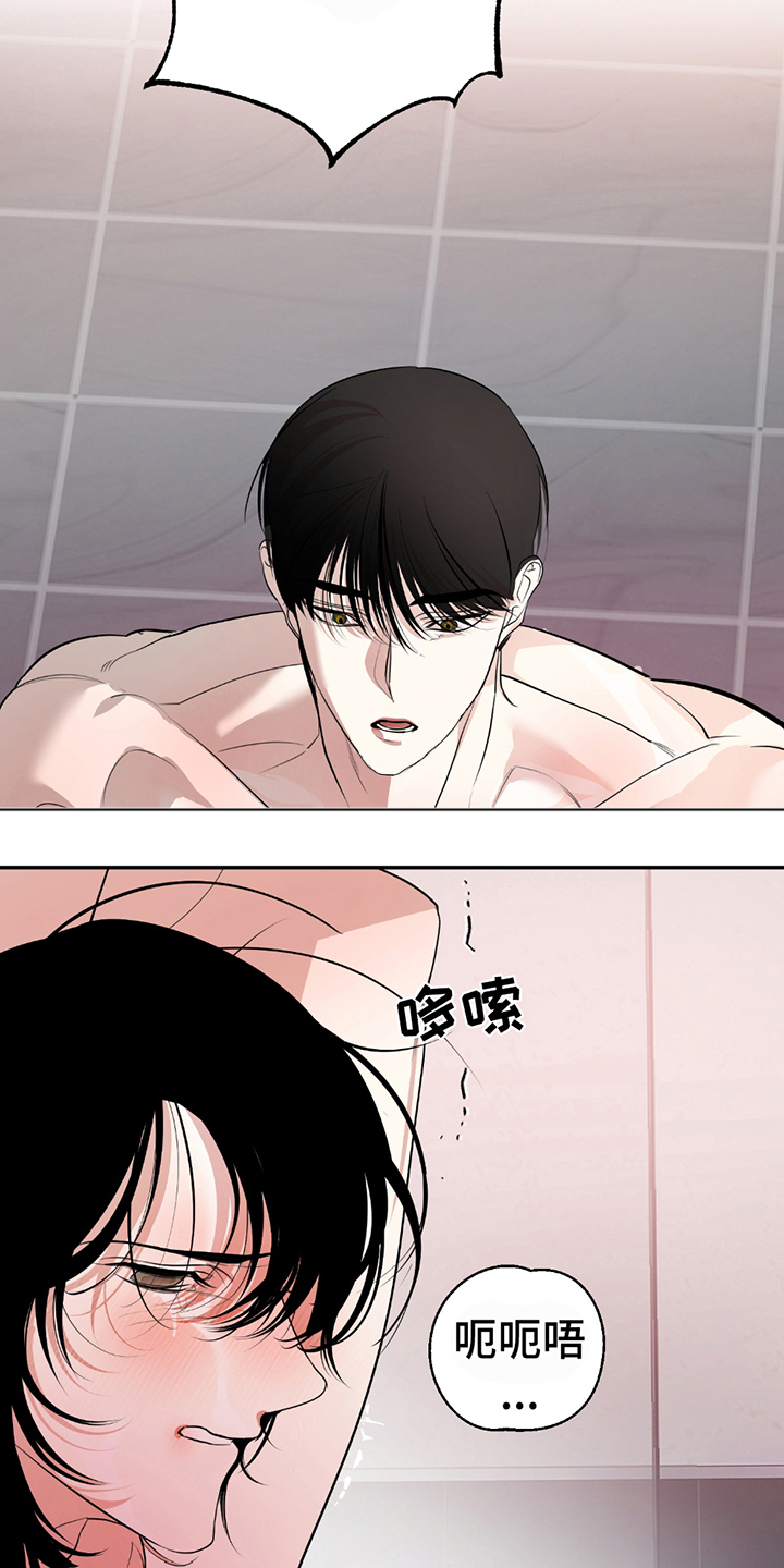 第8话：第8章：多观察预览分镜