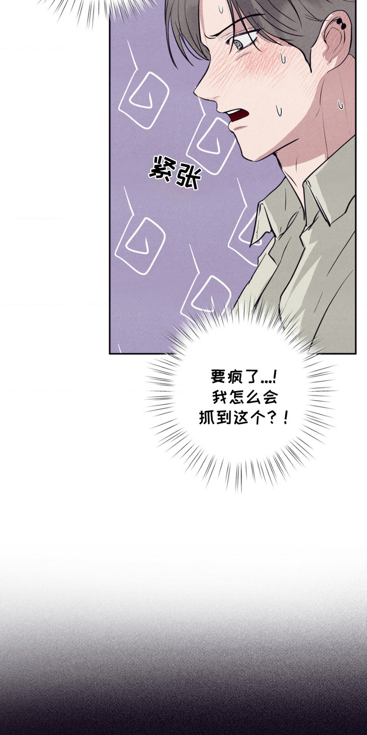 第6话：第6章： 力气很大预览分镜