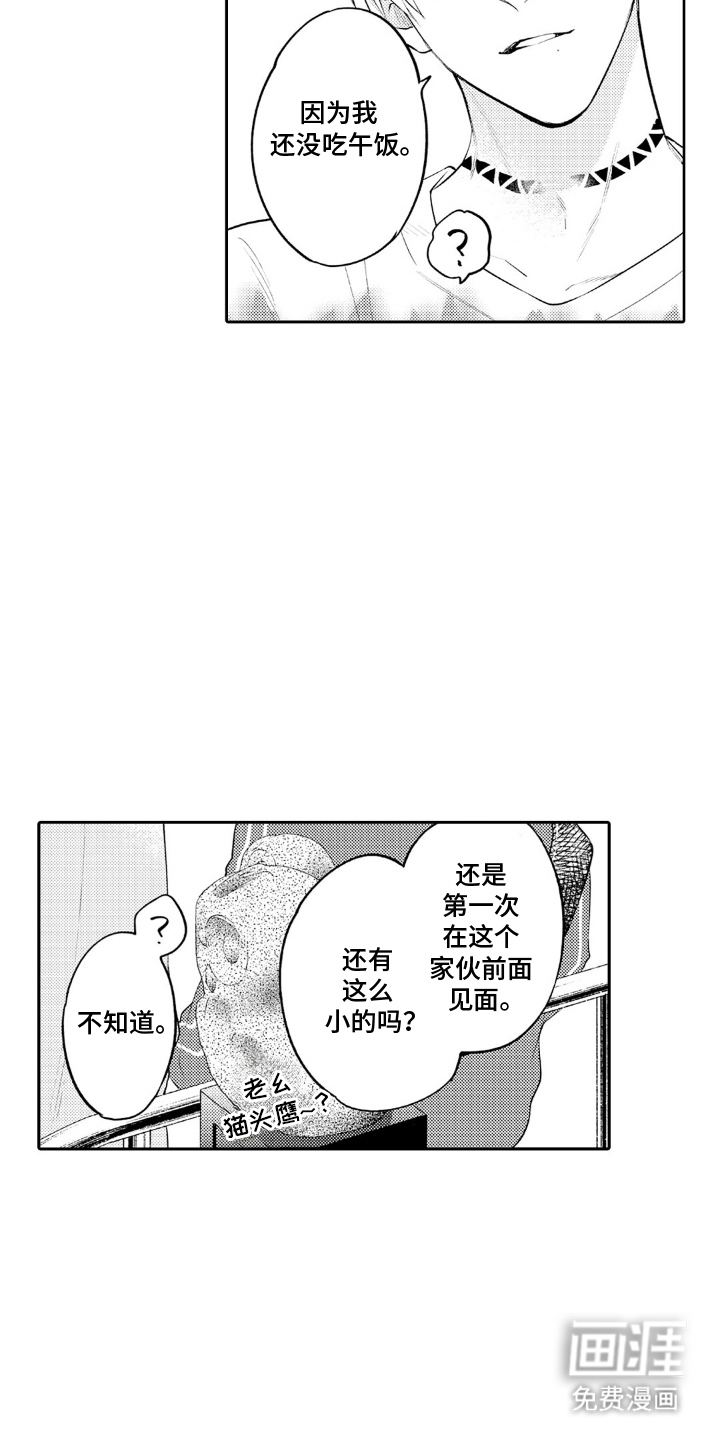 第16话：第16章：升级版预览分镜