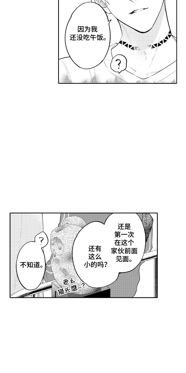 第16话：第16章：升级版预览分镜