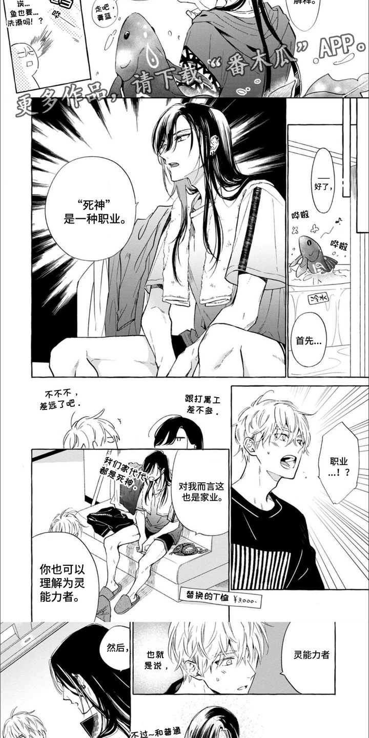 第10话：第10章：解释预览分镜