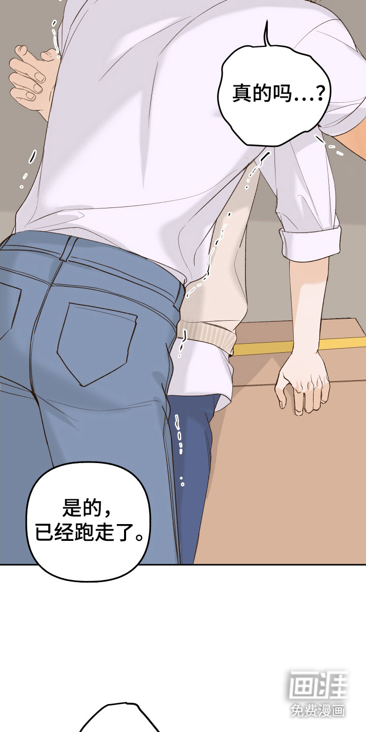第17话：第17章：小强预览分镜