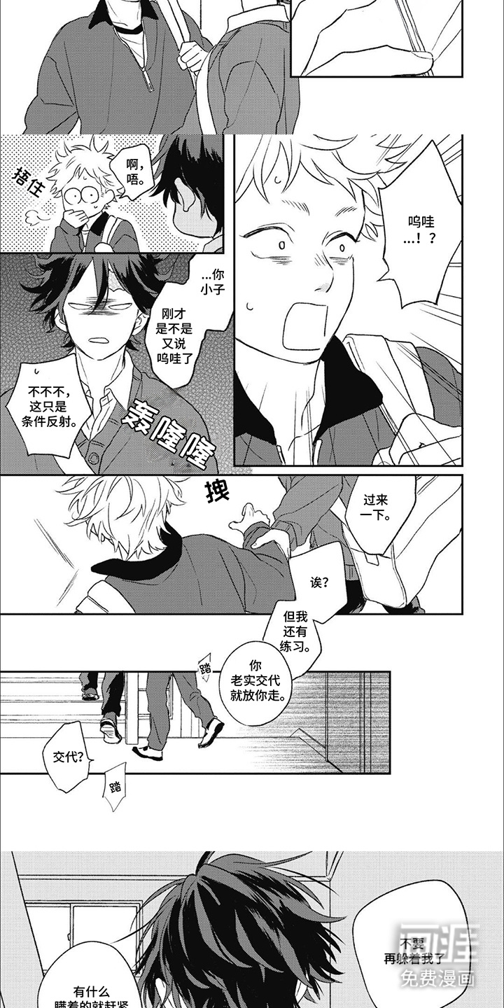 第8话：第8章：误会了预览分镜