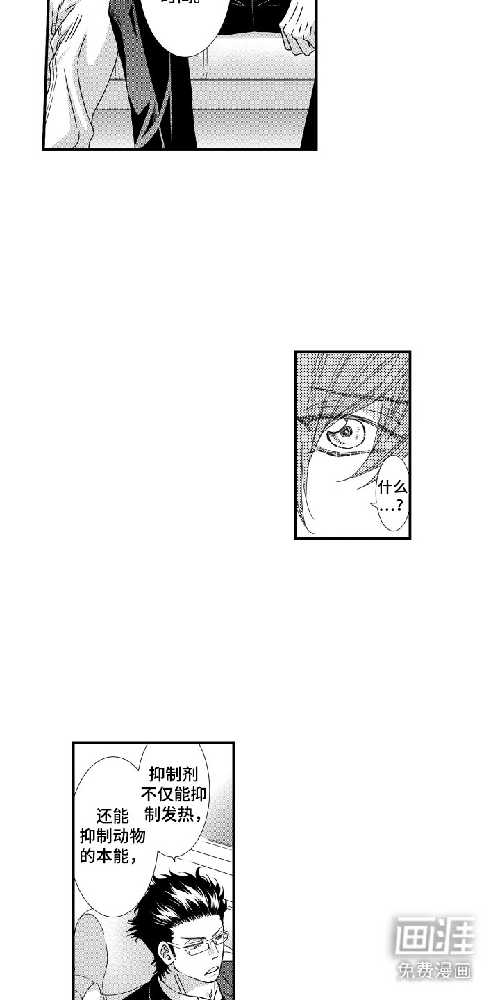 第17话：第17章：状态很差预览分镜