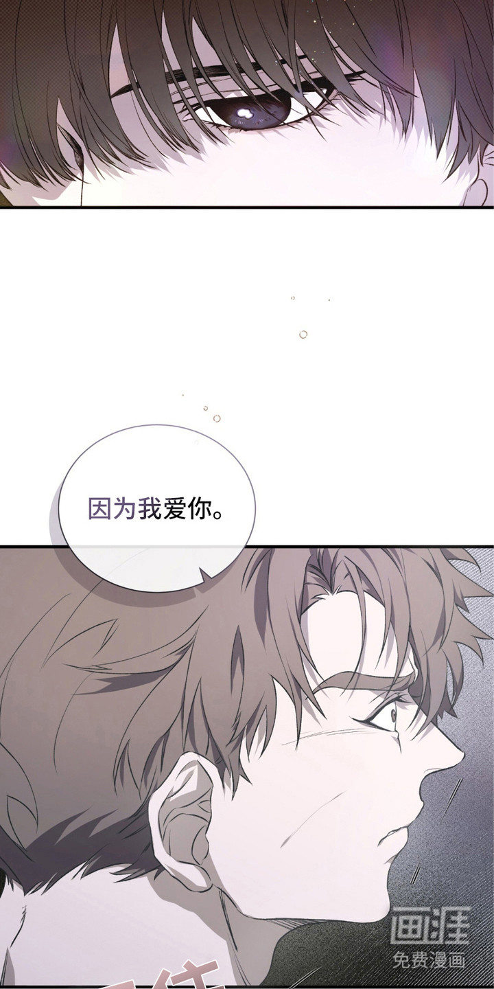 第6话：第6章：哀求预览分镜