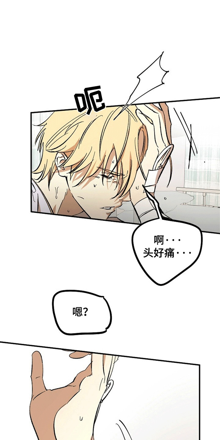 第5话：第5章：这是哪里预览分镜