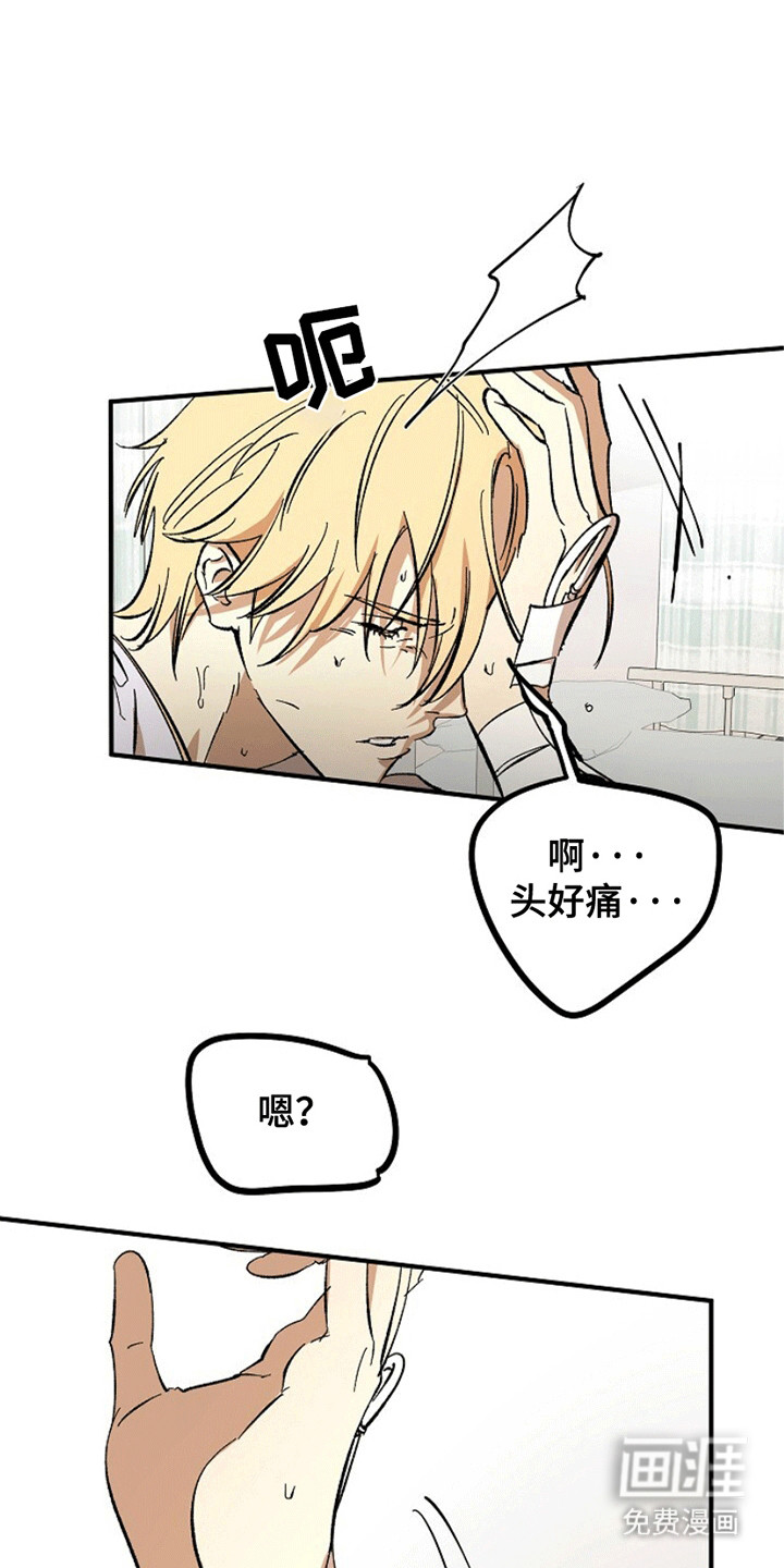 第5话：第5章：这是哪里预览分镜