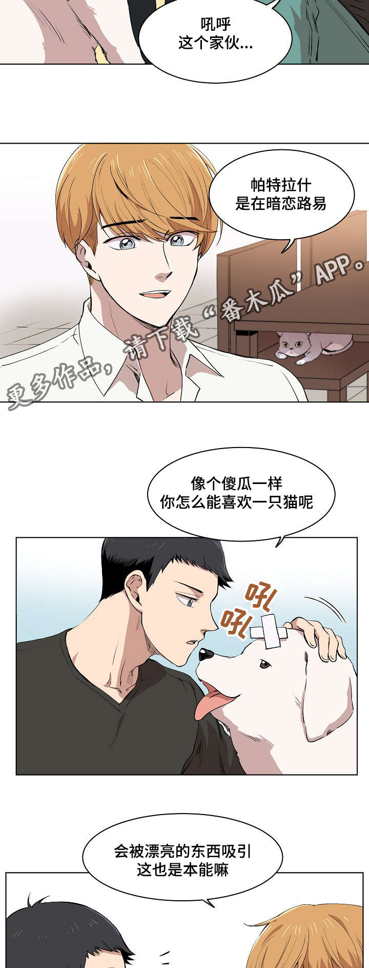 第8话：第8章：胜朱一天的事预览分镜