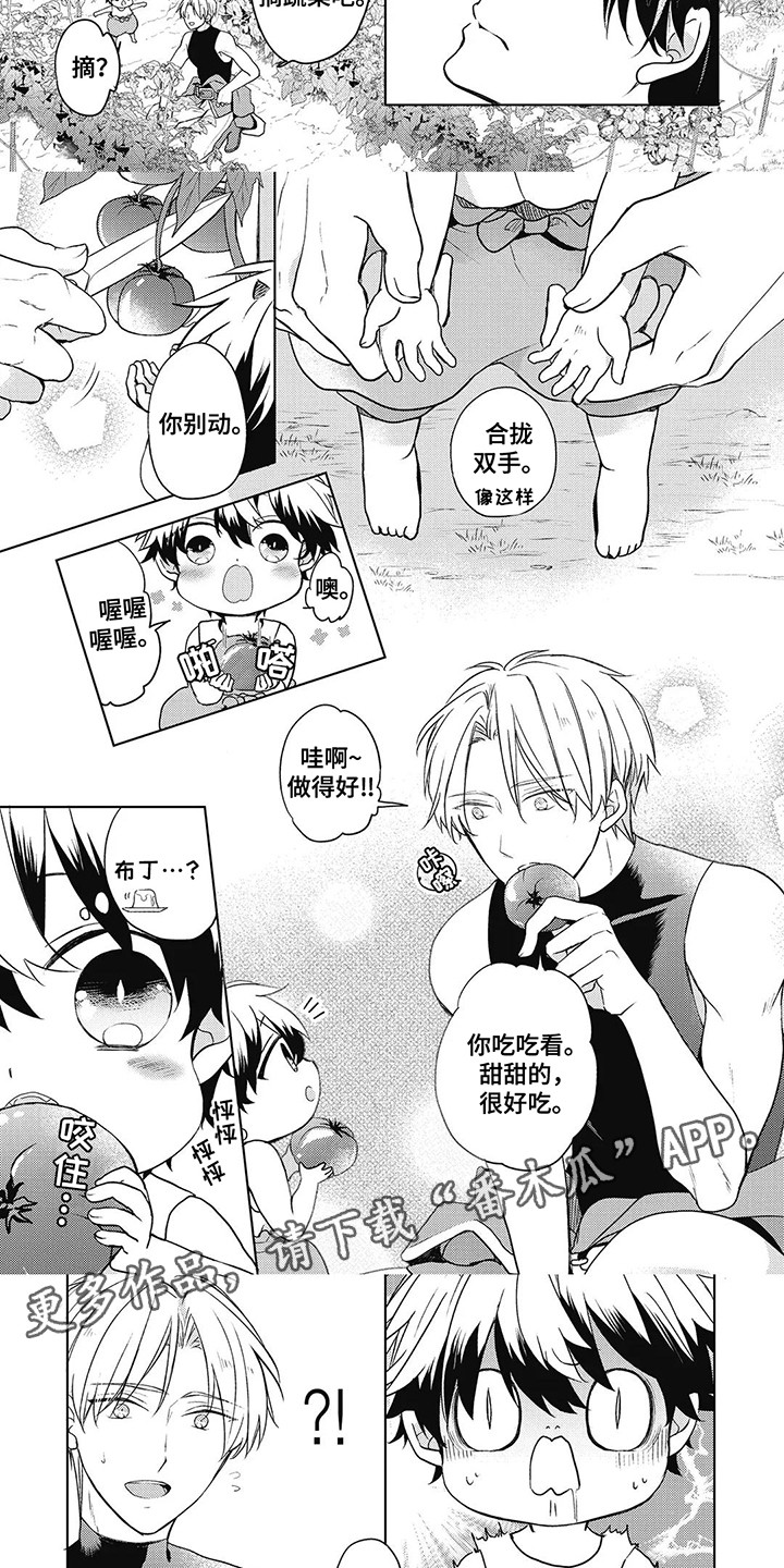 第4话：第4章：挑食预览分镜