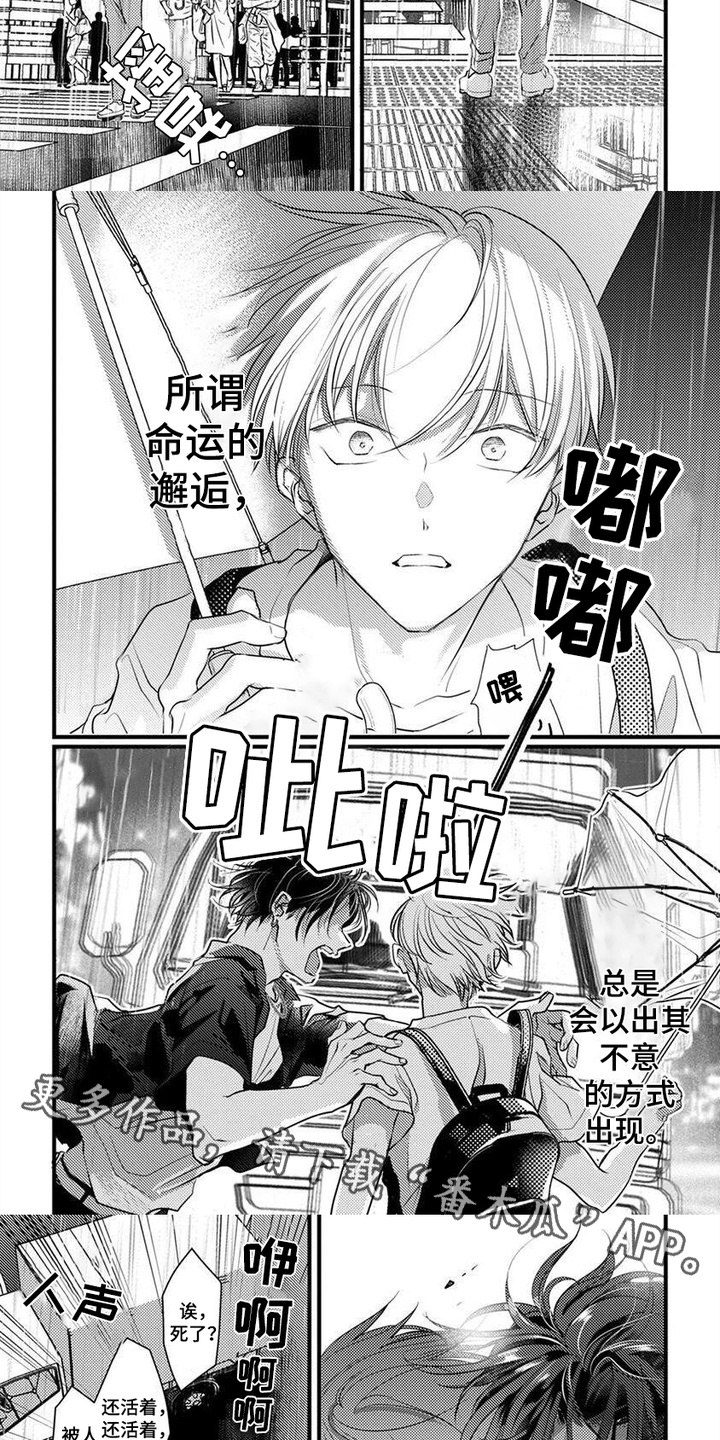 第1话：第1章：命运的邂逅预览分镜