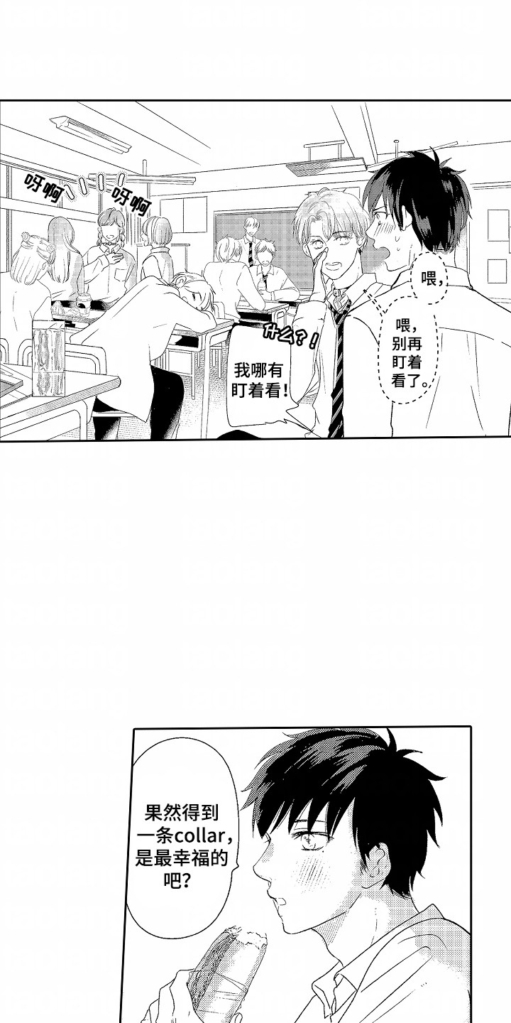 第17话：第17章：羡慕预览分镜