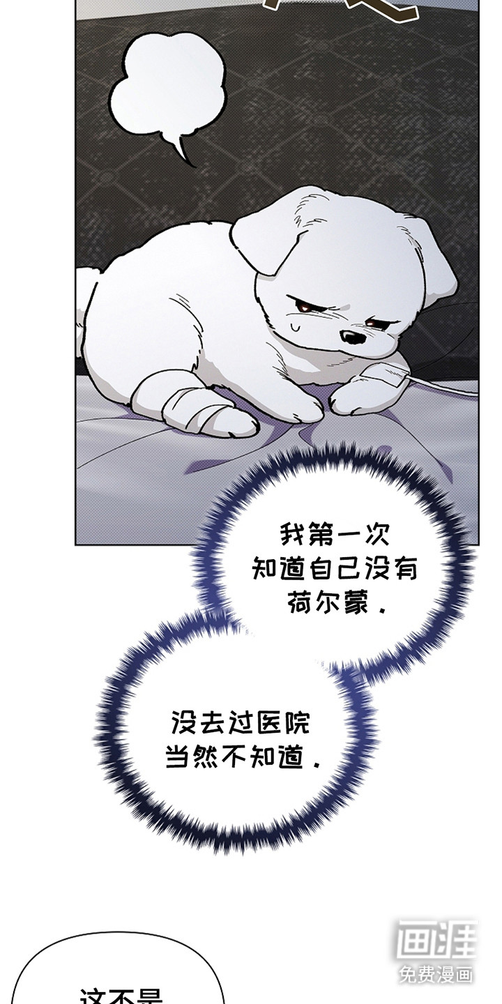 第11话：第11章：不能大意预览分镜