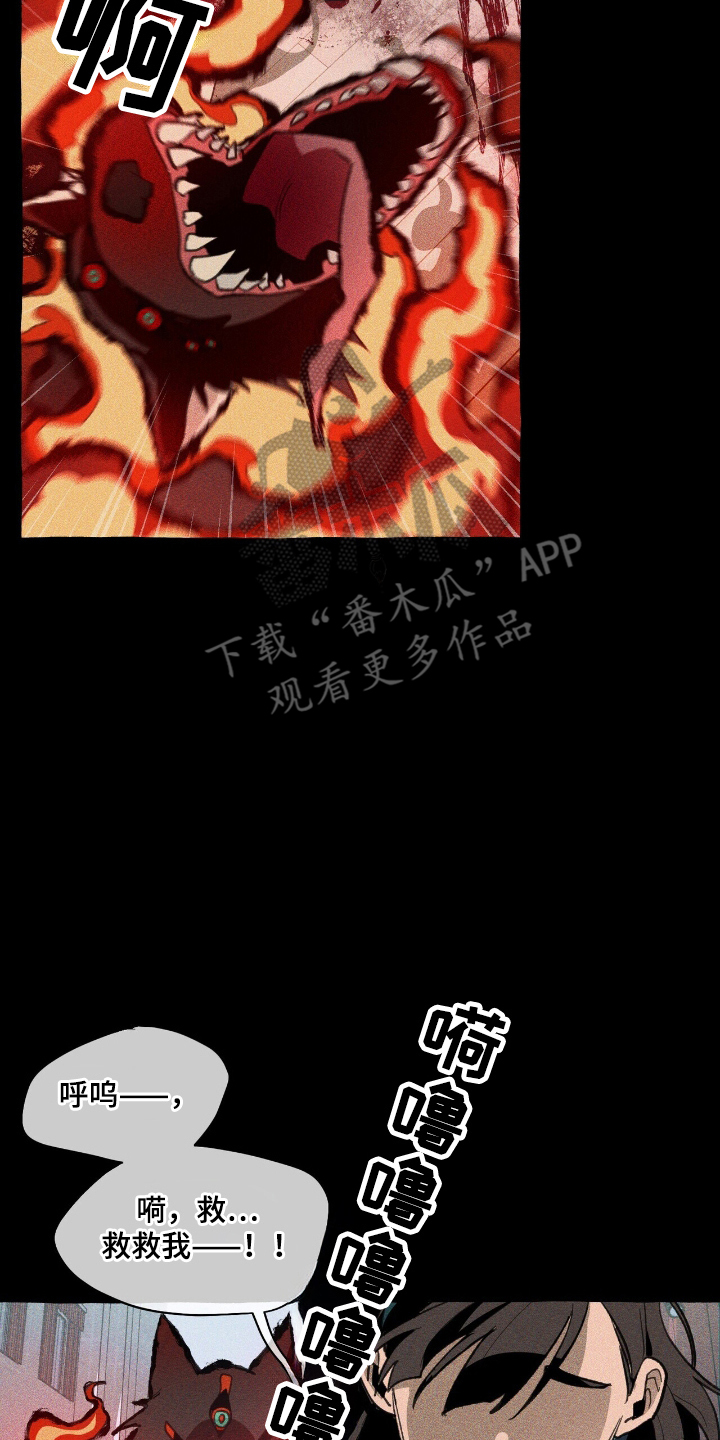 第26章:寻找