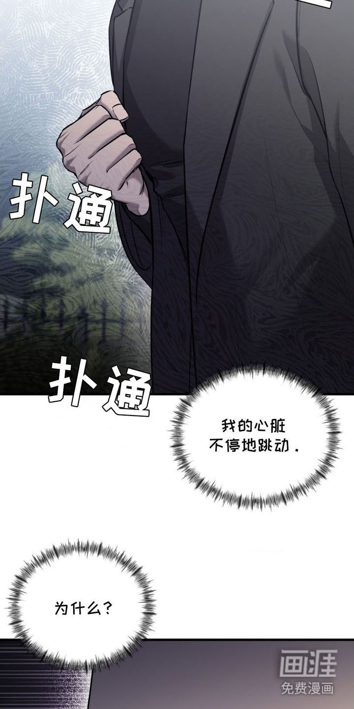 第16话：第16章：期待预览分镜